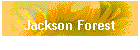 Jackson Forest